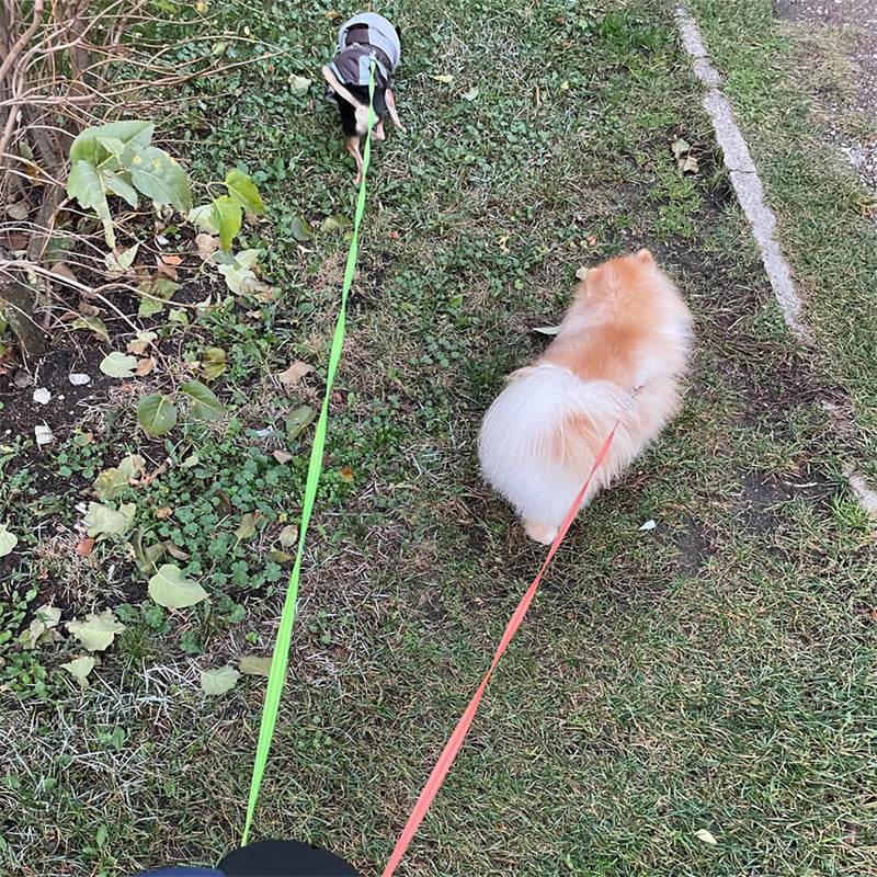 My Friendly™ Retractable Dog Leash For Small Dogs Reflective Dual Pet Leash Lead 360 Swivel No Double Dog Walking Leash With Lights Pet Products